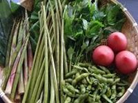 夏の食材例