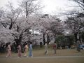 S-100DSCN1604