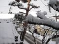 DSCN3640