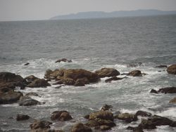DSCN1070