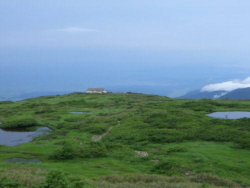 500x375cimg4015