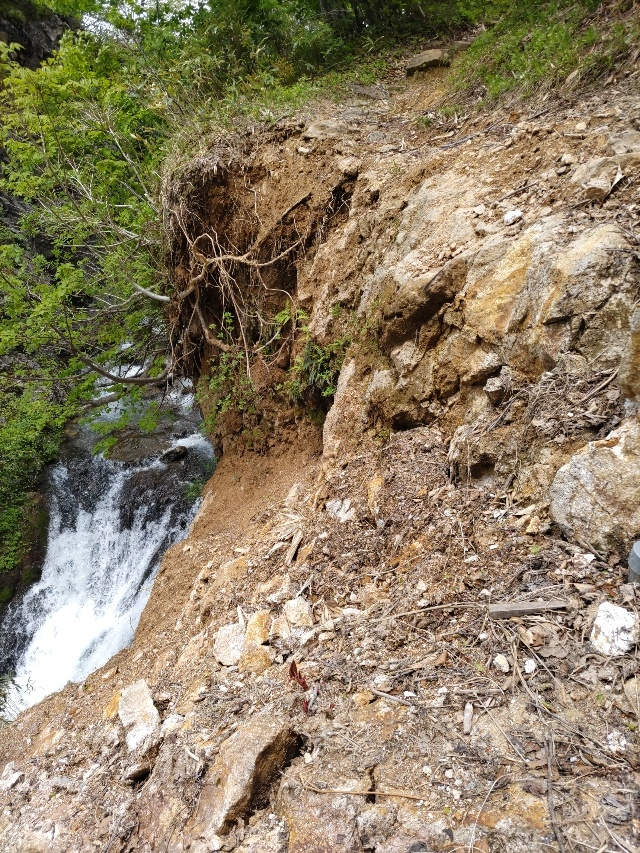 Photo_2