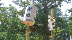 S100dsc00049 S100dsc00049