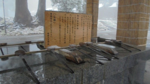 S100dsc00262 S100dsc00262