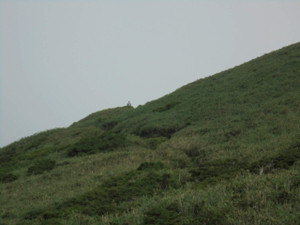 Sdsc00782 Sdsc00782