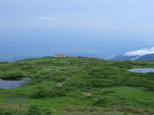 500x375cimg4015