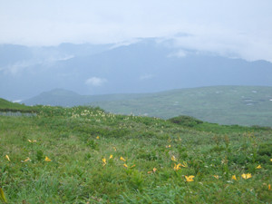 Cimg4116