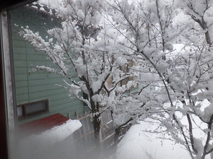 Imgp0077