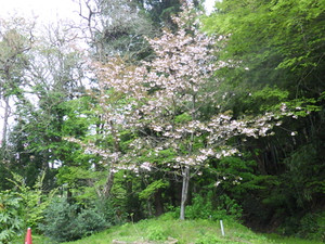 Imgp0157