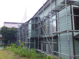 Imgp0331