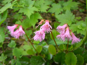Cimg4416_2