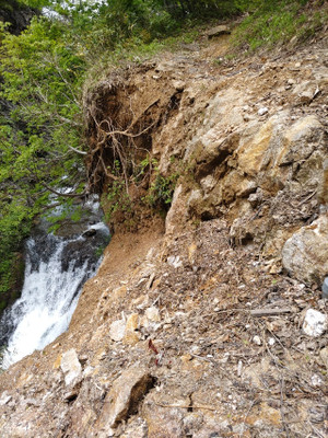 Photo_4
