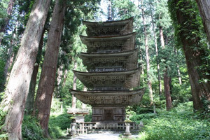 500375img_0528 500375img_0528