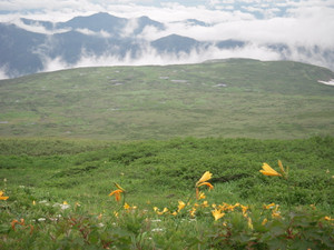 Dscn2701 Dscn2701